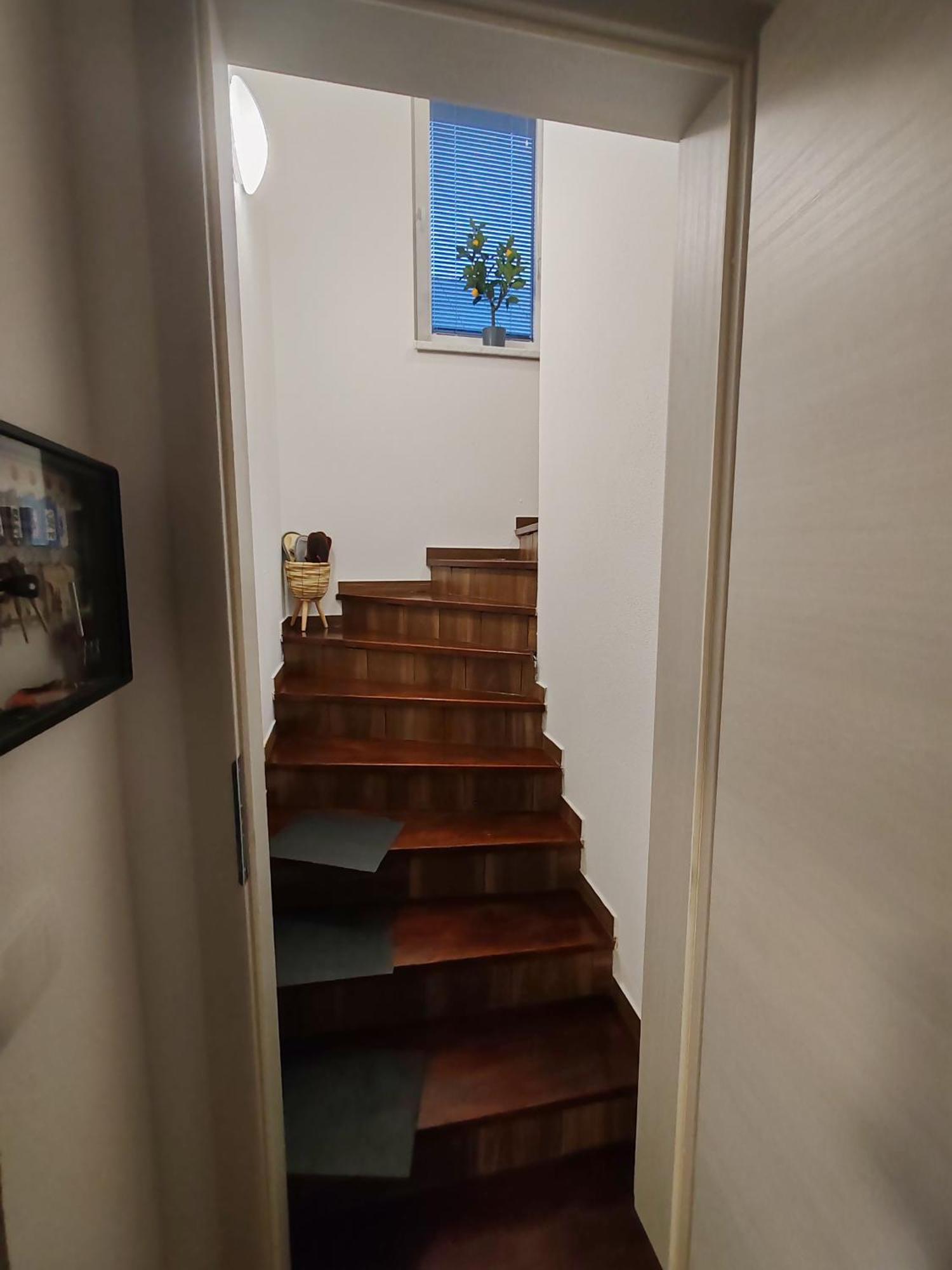 Zirovnica Apartments Malivojevic מראה חיצוני תמונה